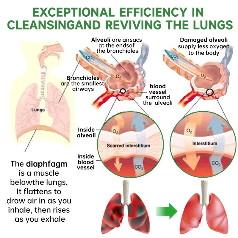 Fivfivgo™ BreathDetox Herbal Lung Cleansing Spray