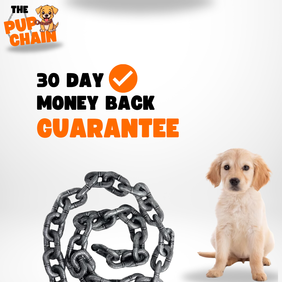 Puppy Chain Dog Leash