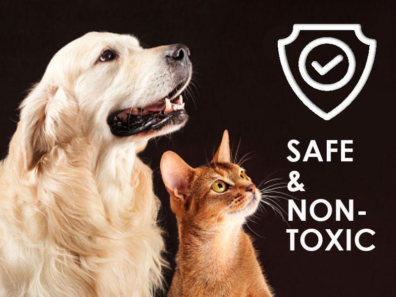 Lice Repellent Treatment Spray