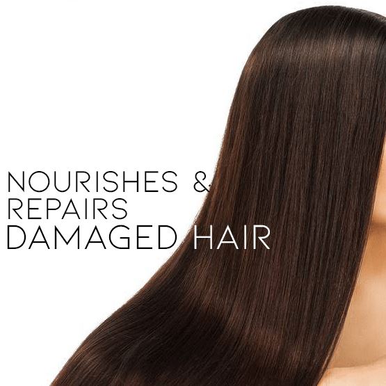 Olive Oil Hair Care Every Day And Night 