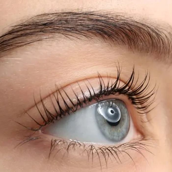 SunFlower Build-in Comb Eyelash Curler Make-up Every Day And Night 