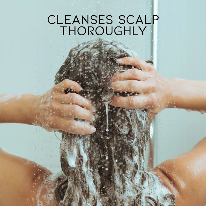 Herbal Essential Oil Infused Shampoo Bar (Fallopia Multiflora) Hair Styling Tools Every Day And Night 