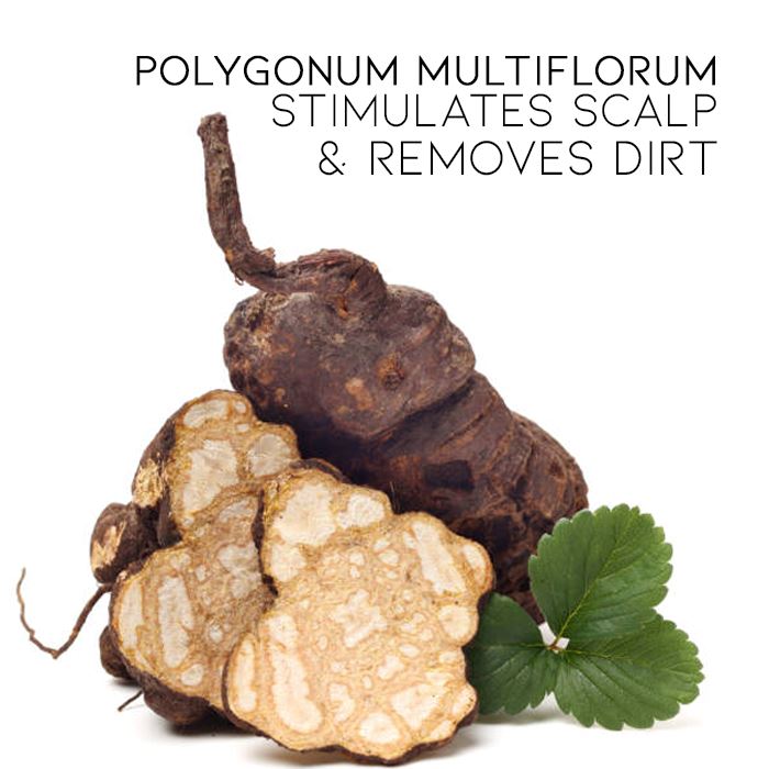 Herbal Essential Oil Infused Shampoo Bar (Fallopia Multiflora) Hair Styling Tools Every Day And Night 