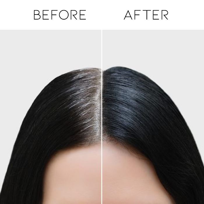 QuickFix Cover Grey Hair Darken Brush Hair Color Every Day And Night 