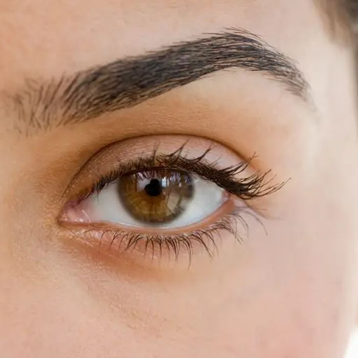 Perfect Eyebrows & Lashes Tint Set Make-up Every Day And Night 