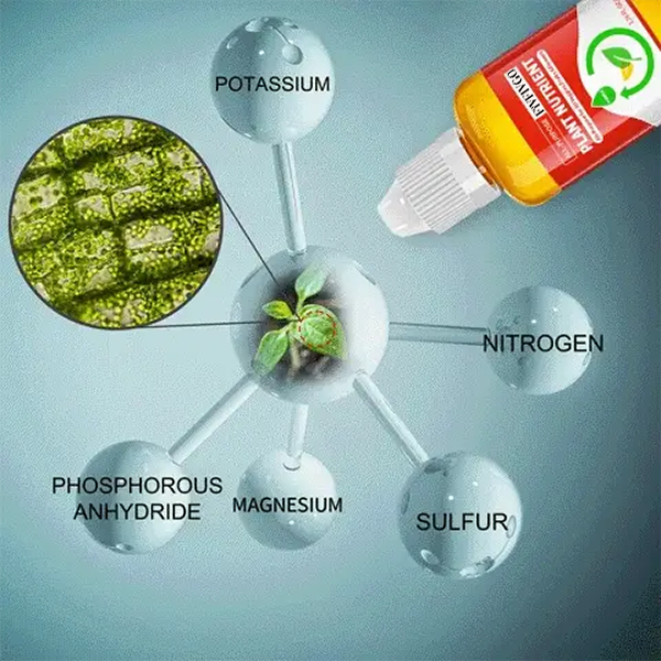 Fivfivgo™ HyperGrowth-Pro Hormone de croissance végétale