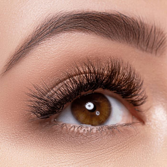24HRS Semi-permanent Brow Brush Morning Shades 