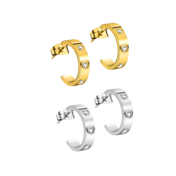 Orecchini Fivfivgo™ EarAcupressure Magnet Therapy Detoxi