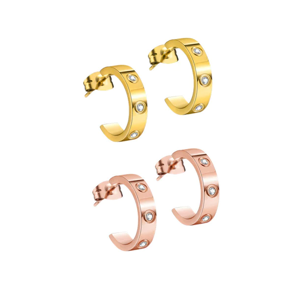 Orecchini Fivfivgo™ EarAcupressure Magnet Therapy Detoxi