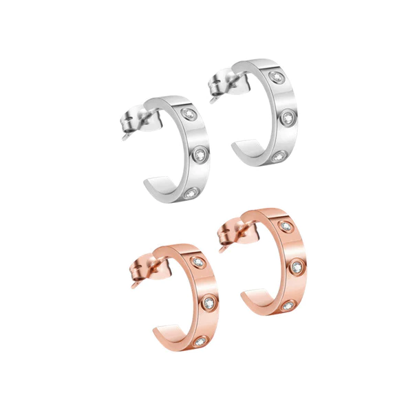 Orecchini Fivfivgo™ EarAcupressure Magnet Therapy Detoxi