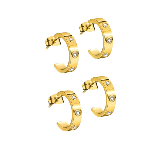 Boucles d'oreilles Fivfivgo™ EarAcupressure Magnet Therapy Detoxi