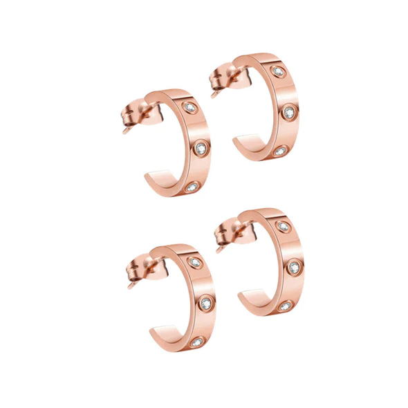 Orecchini Fivfivgo™ EarAcupressure Magnet Therapy Detoxi