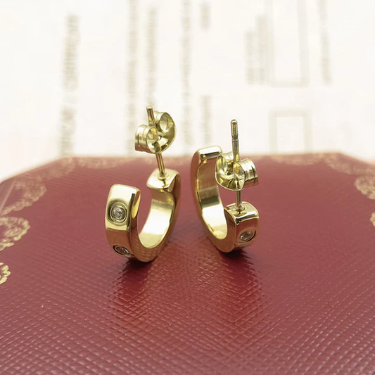 Orecchini Fivfivgo™ EarAcupressure Magnet Therapy Detoxi