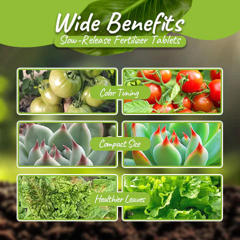 Fivfivgo™ VerdeVita Organic Long-Term Fertilizer Tablets