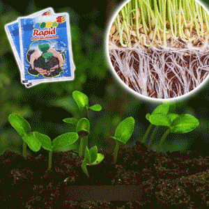 Rapid Rooting Powder