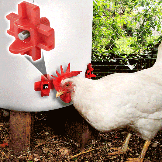 Side Mount Chicken Waterer