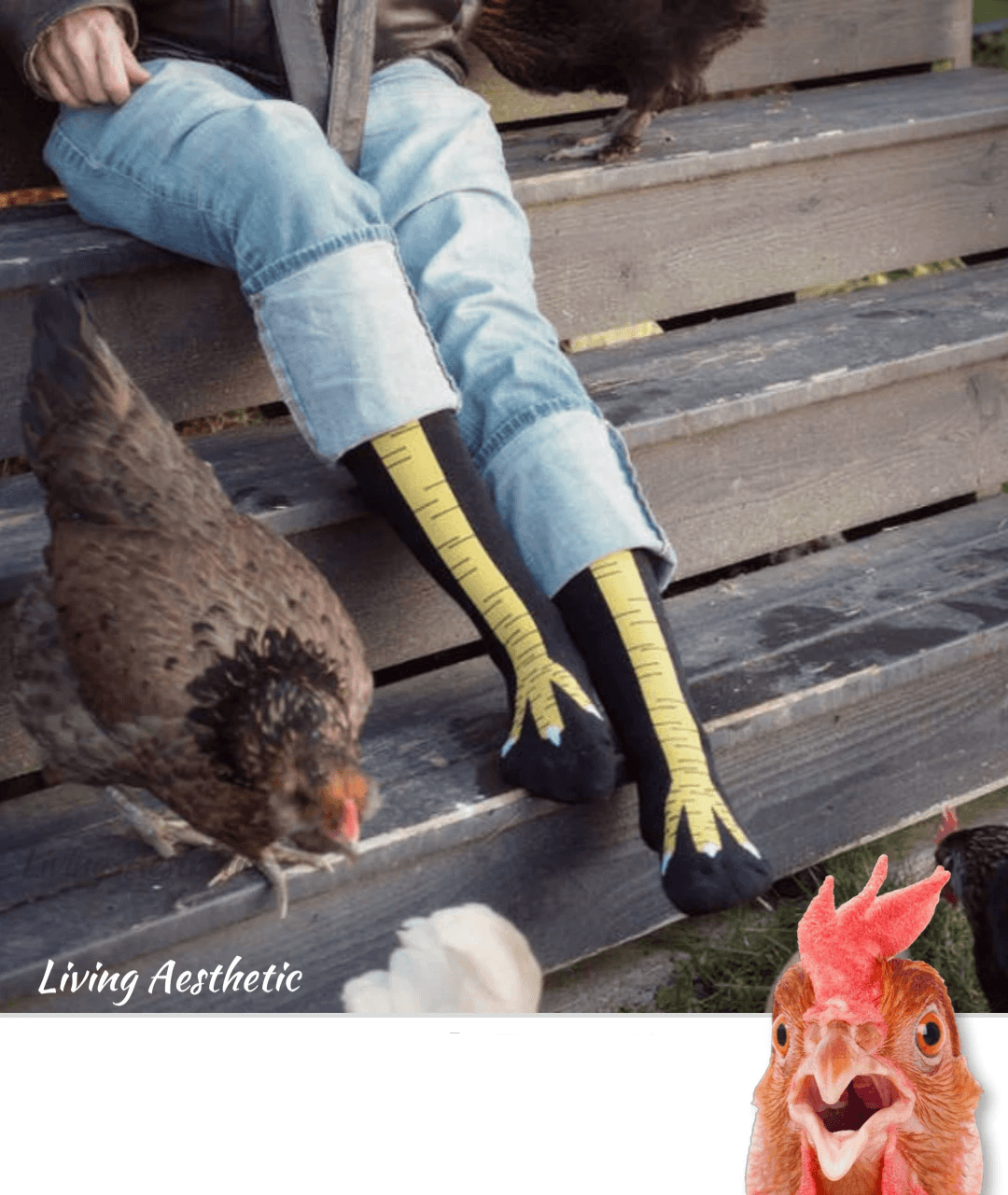 Original Chicken Feet Socks