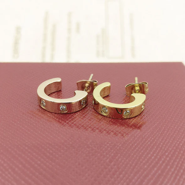 Orecchini Fivfivgo™ EarAcupressure Magnet Therapy Detoxi