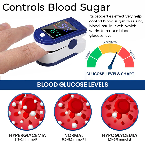 Portable High-Precision Blood OxiMeter