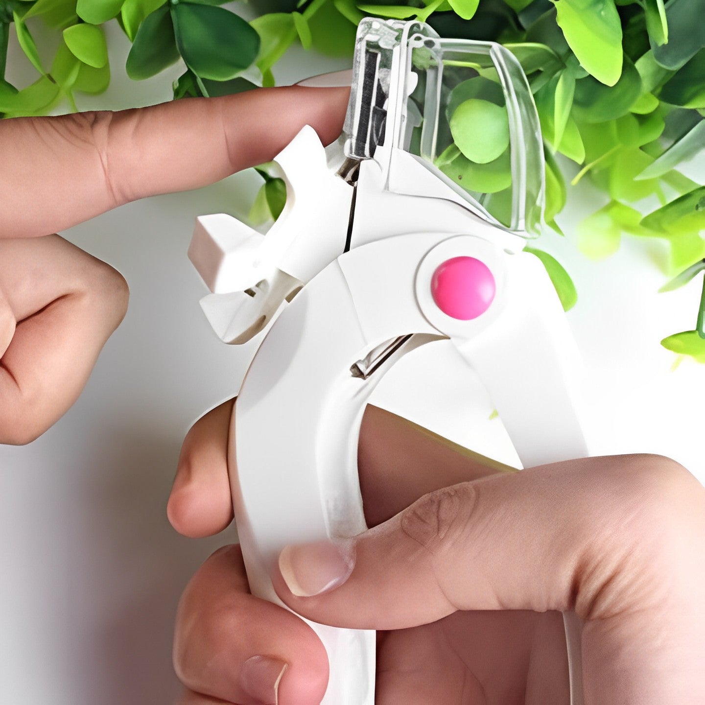 Easy False Nail Cutter Nail Every Day And Night 
