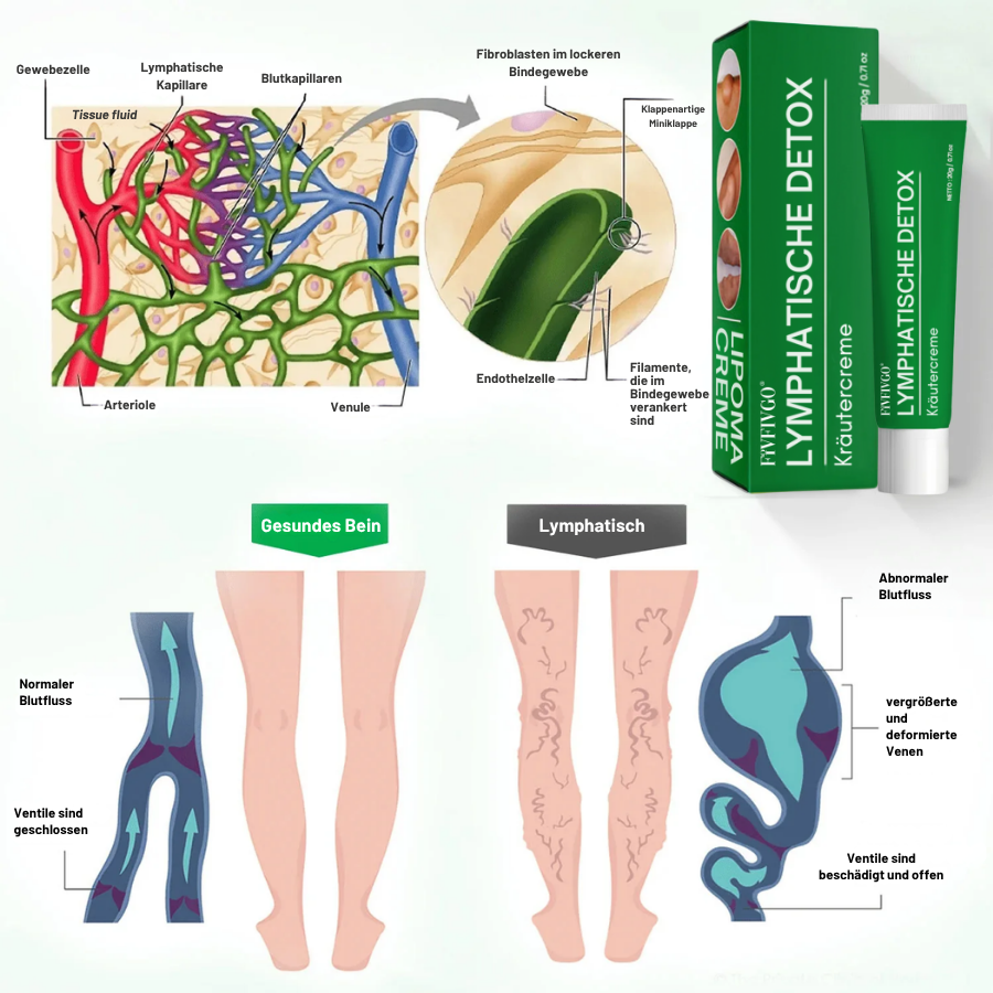 Fivfivgo® Lymphatische Detox-Kräutercreme