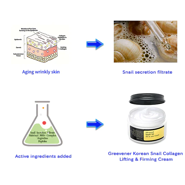 Fivfivgo™ Crème liftante et raffermissante au collagène d'escargot coréen