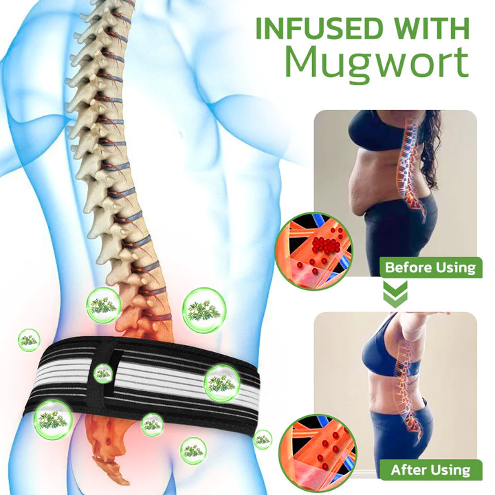 Fivfivgo™ Mugwortswrap Health Lower Back Pain Support Belt