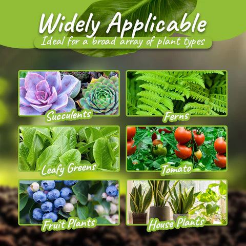 Fivfivgo™ VerdeVita Organic Long-Term Fertilizer Tablets