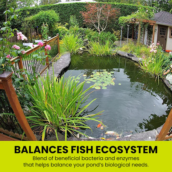 Fivfivgo™ Algicide pour aquariums