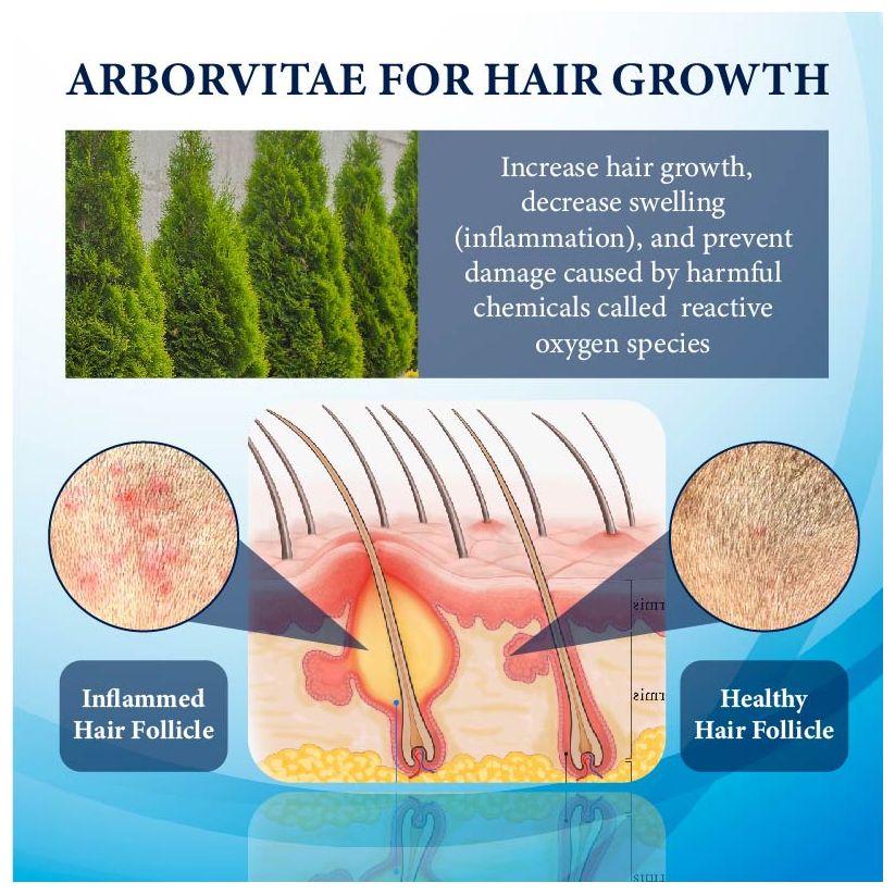 Fivfivgo™ ThickBoost Herbal HairGrowth Serum for Men