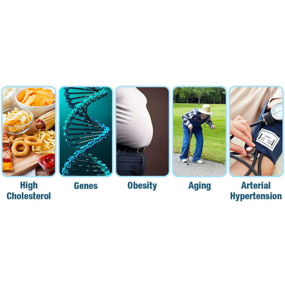 Oveallgo™ GlycoWave Electric Pulse Device