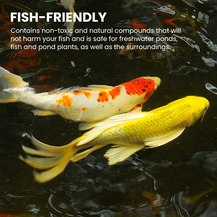 Fivfivgo™ Algaecide For Aquariums