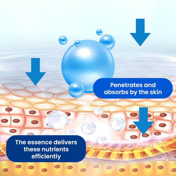 Fivfivgo™ Osteo Reinforce Essence