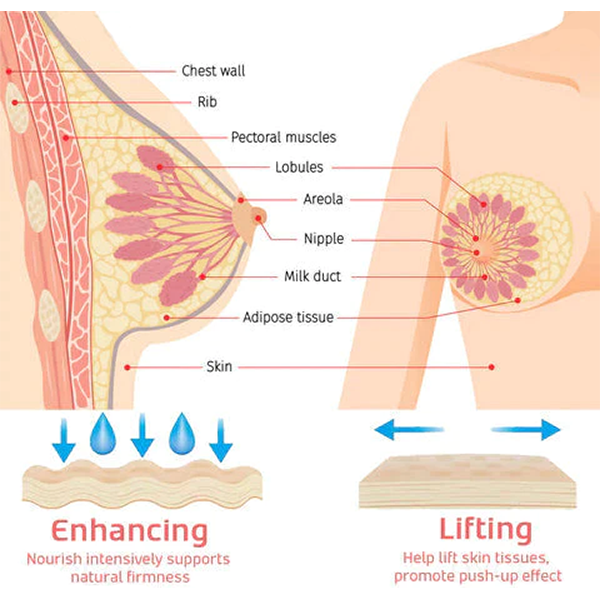 Fivfivgo ™ Sérum d'ampoules liftantes pour l'amélioration des seins