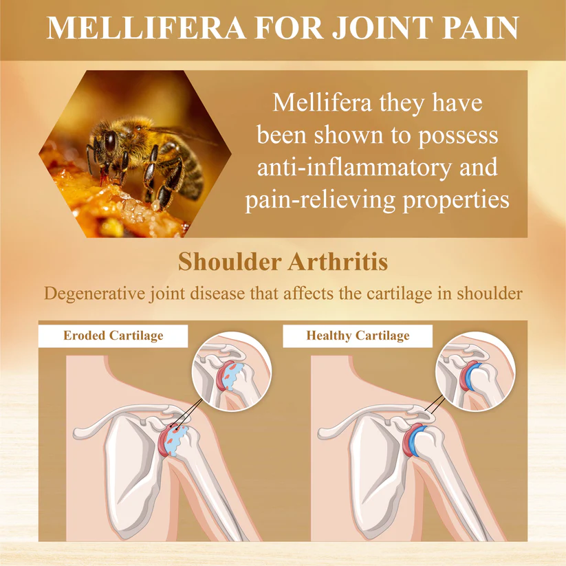 Fivfivgo™ Joint Soothe Mellifera Venom Bar