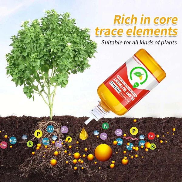 Fivfivgo™ HyperGrowth-Pro Hormone de croissance végétale