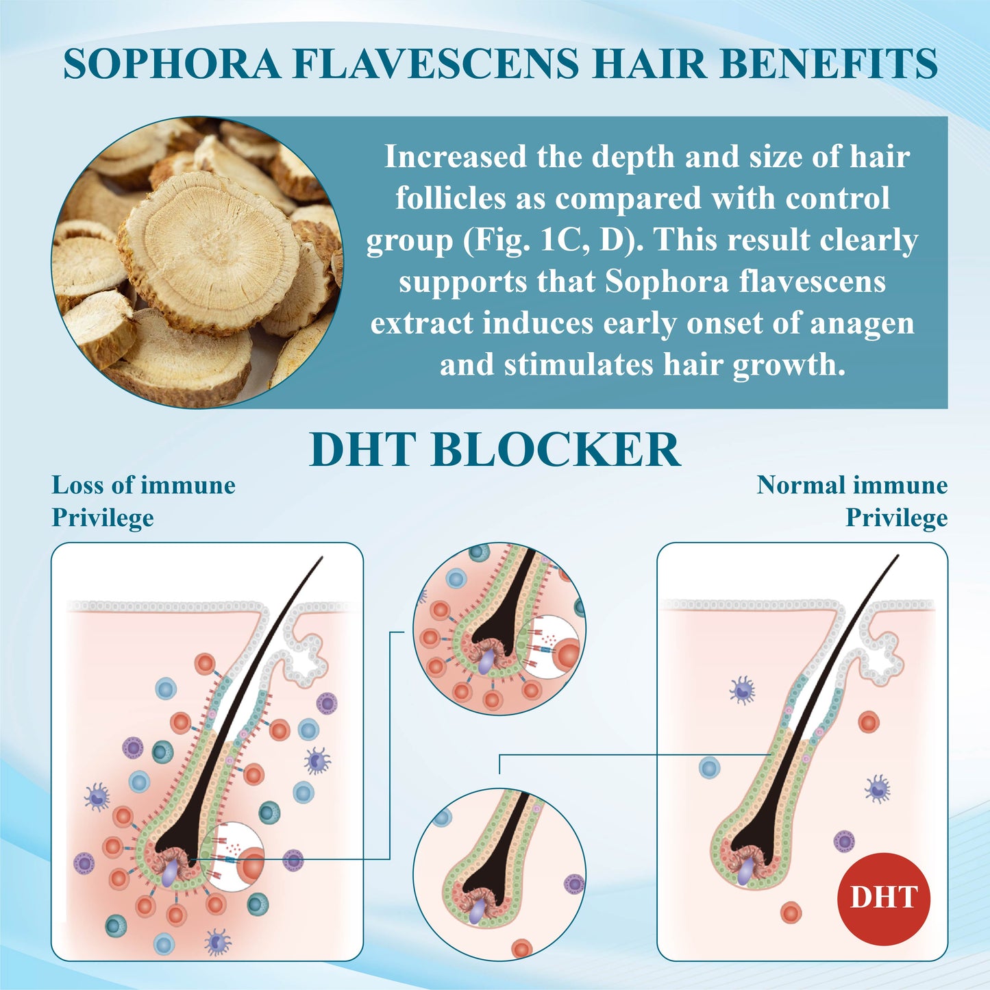 Fivfivgo™ Alopecia Recovery Hair Regrowth Cream