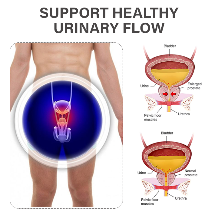 Fivfivgo™ TitaniumMag Prostate Wellness Bracelet