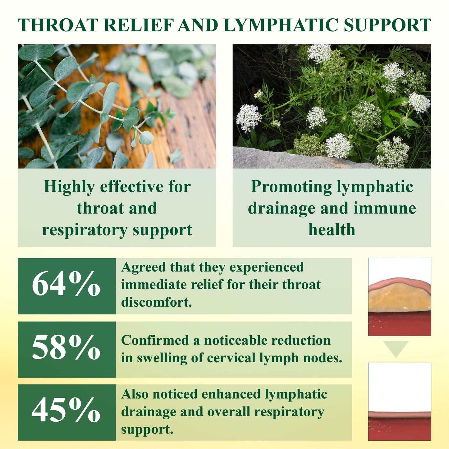 Fivfivgo™ Throat and CoughSoothing LymphOintment