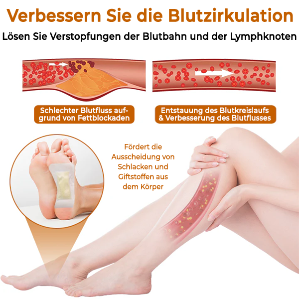 Fivfivgo®  Bienengift Lymphatische Entgiftung Gesundheitspflaster