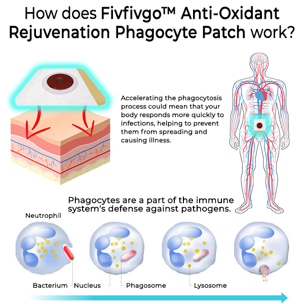 Fivfivgo™ Anti-Oxidant Rejuvenation Phagocyte Patch