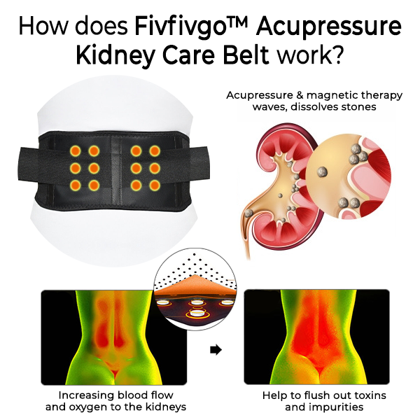 Fivfivgo™ Acupressuur Nier Zorg Riem