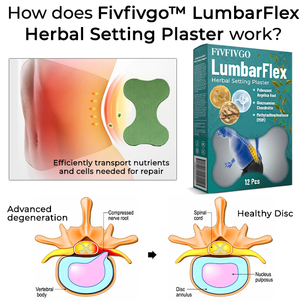 Fivfivgo™ LumbarFlex Plâtre à Base de Plantes