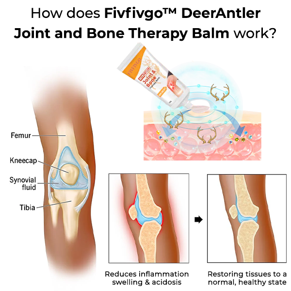 Fivfivgo™ DeerAntler Gelenk- und Knochentherapie-Balsam