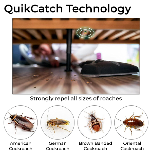 Fivfivgo™ QuikCatch RoachAce Köderstation
