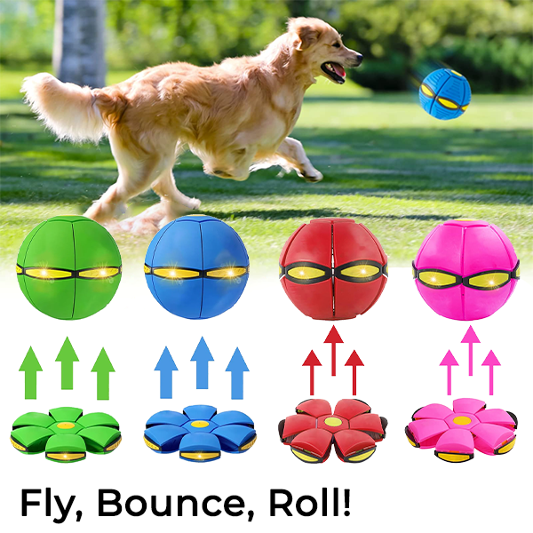 Doggy Disc Ball