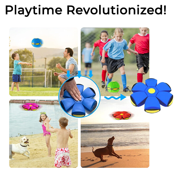 Doggy Disc Ball