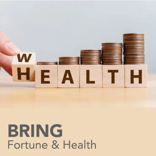 Fivfivgo™ FengShui Wealth Ring