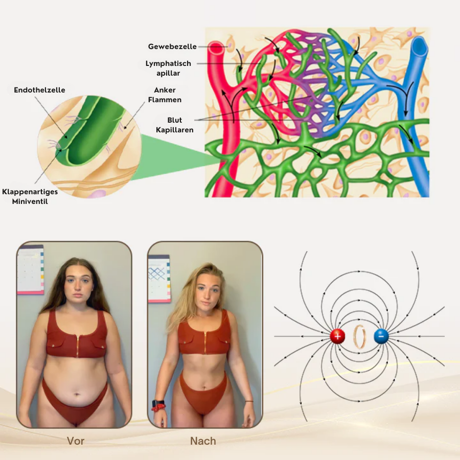 Fivfivgo™ Magnetisches Lymphatisches Wellness-Armband