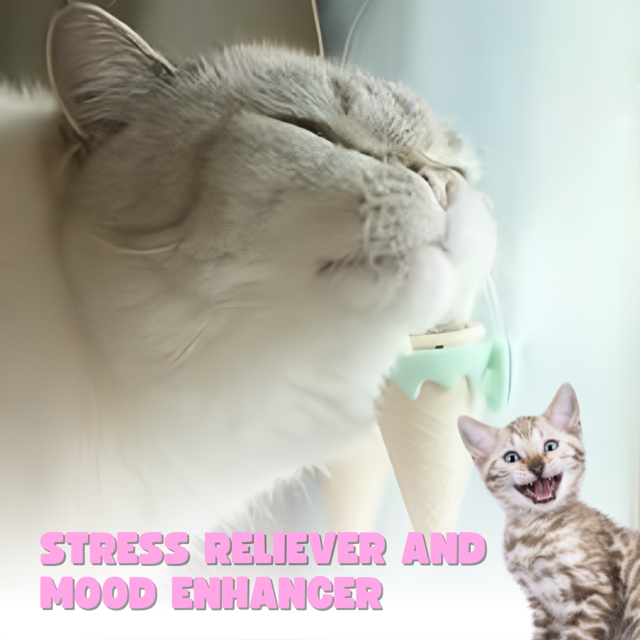 Icecream Catnip Ball Interactive Cat Toys